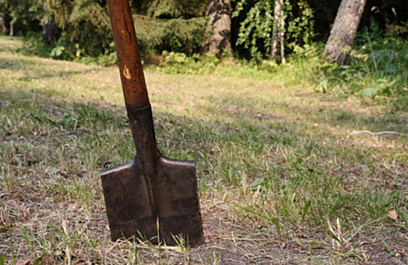 Зачем у лопаты верхний край изогнут. Садовая лопата. Лопата для леса.