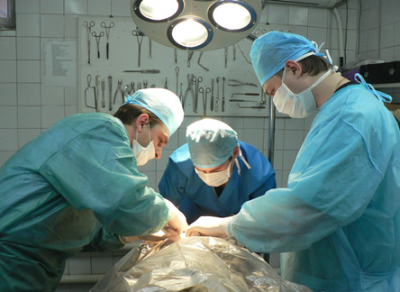 В Вологодской области впервые сделали операцию по замене коленного сустава