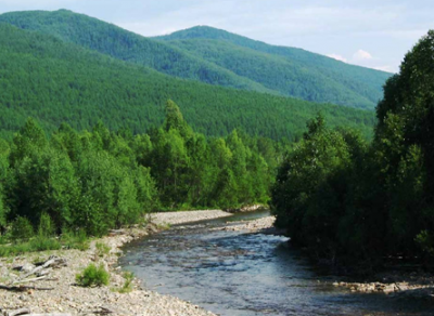 В Хабаровском крае появились экологические туры