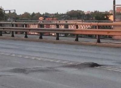 Ленинградский мост вздувается