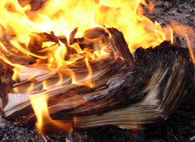 В областной столице сгорели 2 тонны макулатуры