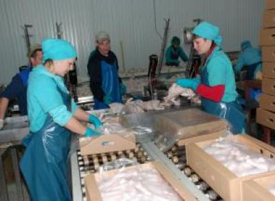 Олег Кувшинников пообещал, что сокращенные работники «Шекснинской птицефабрики» будут трудоустроены