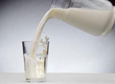 Шекснинское молоко признали одним из лучших в России