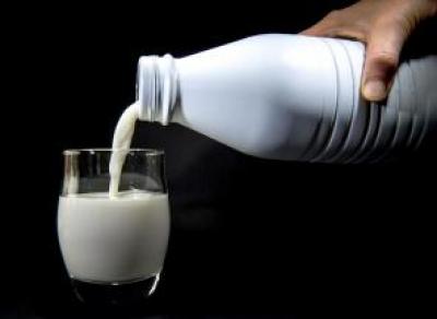 Усть-Кубинское молоко признано лучшим на Вологодчине