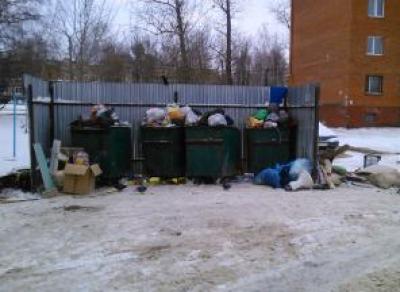 В Вологде решили, кто должен убирать мусор, лежащий вне контейнеров