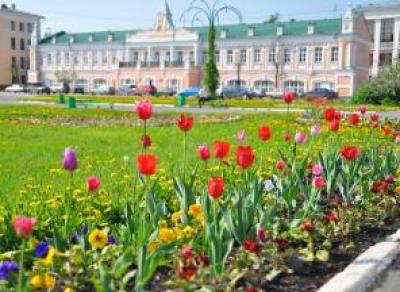 Свыше 209 тыс. цветов украсят улицы Вологды