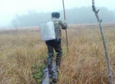 На болотах Белозерского района спасли потерявшегося мужчину