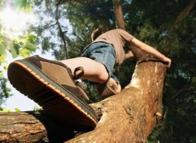 В Череповце мальчика снимали с высокого дерева