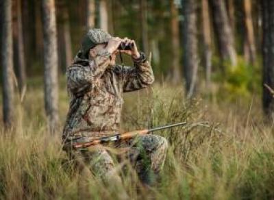 В Вологодской области начался сезон охоты на лося