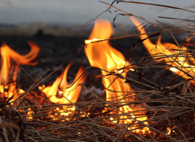 В Вологодском районе 2 дня подряд горела солома