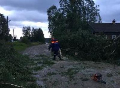 Около двух десятков спасателей ликвидировали последствия шторма на Вологодчине