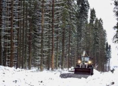 Череповчане борются за сохранение леса за улицей Олимпийской