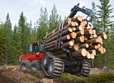 Бюджет пополнился на полмиллиарда рублей за счет лесного комплекса