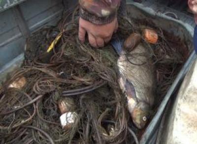  Вологжанин незаконно рыбачил в Липином Бору 