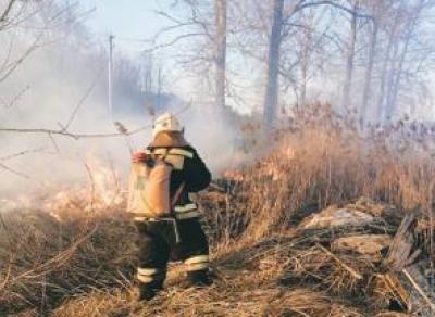 В Вологодской области установлен особый противопожарный режим