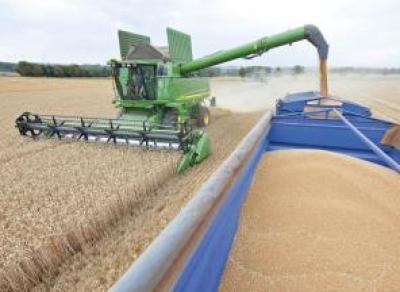 Россия запретила вывоз за рубеж твердой пшеницы