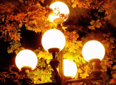 В Ковыринском парке и Осановской роще появится уличное освещение