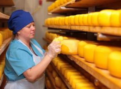 За счет открытия завода по производству сыров в Череповце появится 150 рабочих мест 