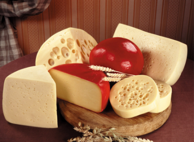 Завод по производству сыров планируют построить в Череповце