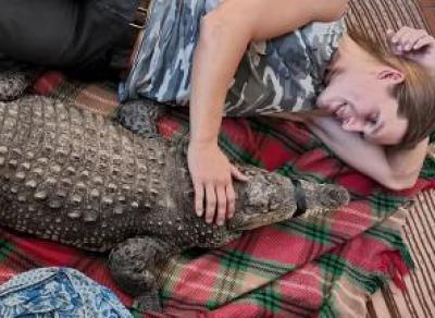 В Вологде ищут водителя для перевозки крокодила
