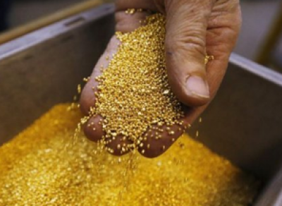 Московская компания ищет золото в Вологодской области