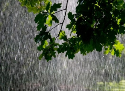 Дождливое лето как следствие глобального потепления