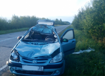 Авария с участием лося произошла в Череповецком районе