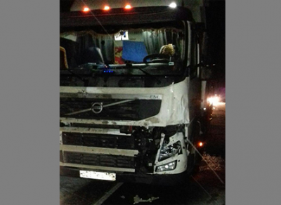 В Устюженском районе лось попал под колеса грузовика