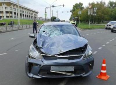Два пешехода погибли на «зебре» в Череповце