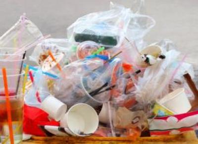 В России предлагают запретить пластиковую посуду