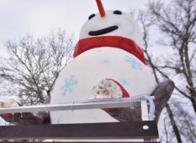 Вандалы терроризируют снеговика на Кремлёвской площади