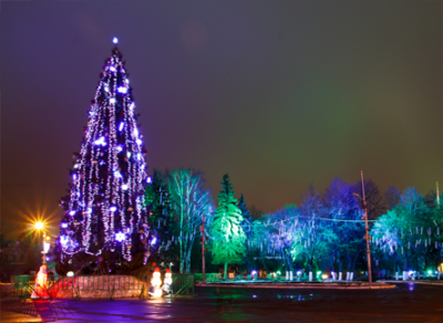 Огни на главной Новогодней елке Вологды зажгутся 27 декабря 