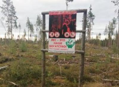 Несуществующий лес охраняют в Вытегре