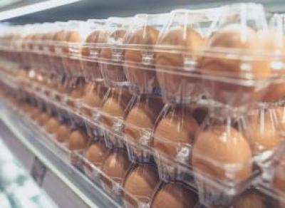 ФАС проверяет торговые сети из-за цен на яйца