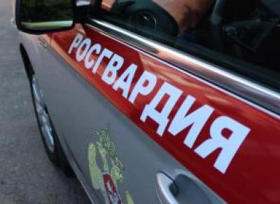 «Хотели наказать»: в Вологде двое избили и ограбили пешехода, нарушившего ПДД