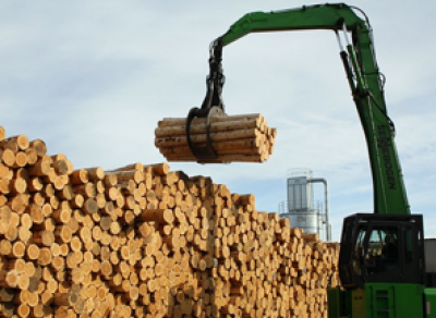 Новый лесопильный завод в Вологодской области обеспечит работой более 100 вологжан