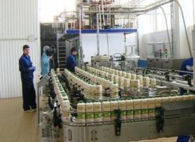 Вологодское молоко повезут в Китай