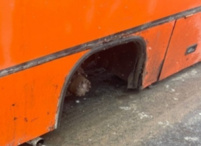 Под Вологдой у автобуса на ходу отвалились колёса