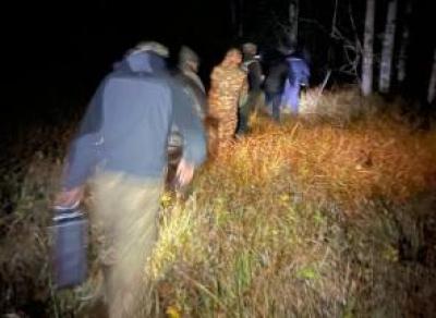 В Вологодском округе браконьеры застрелили лося