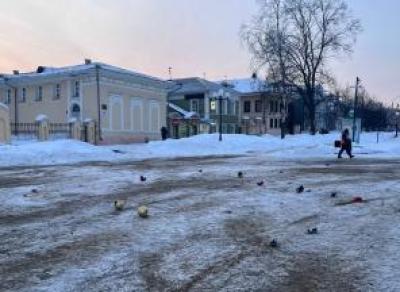 В Вологде вандалы разбили игрушки с новогодней ели