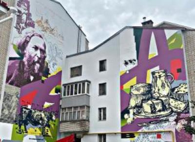 Дома Вологды украсили 20 новых граффити