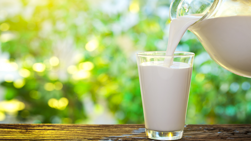 Молоко улучшает работу головного мозга