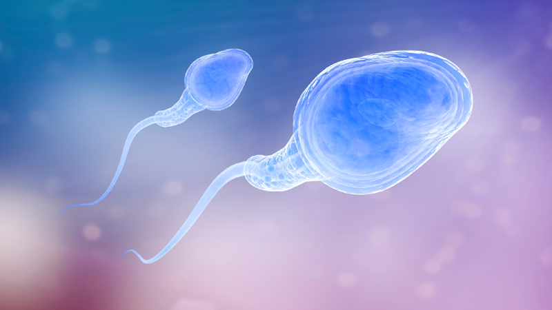 Ученые заявляют, что сперма может помочь при лечении рака матки 