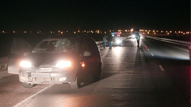 В ДТП на объездной автодороге Вологды погиб пешеход
