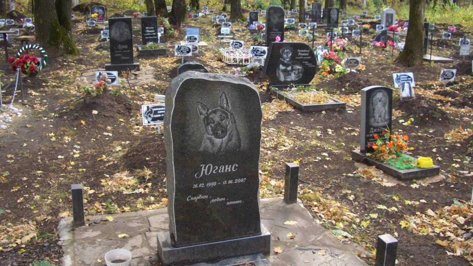 В Череповце хотят ликвидировать кладбище домашних животных