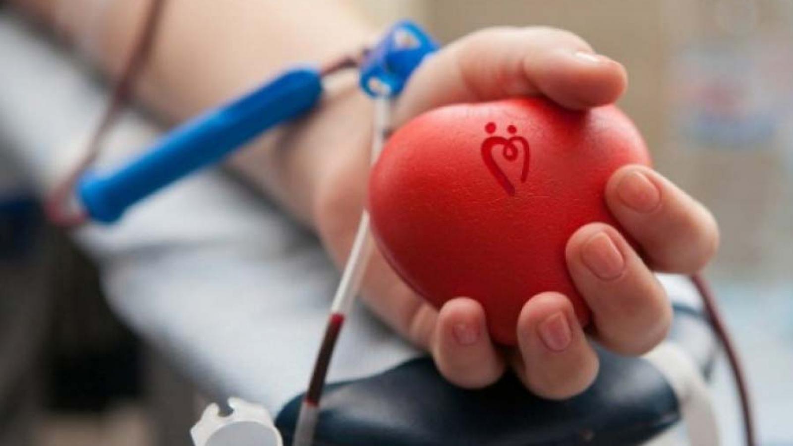 В Вологде срочно ищут доноров всех групп крови