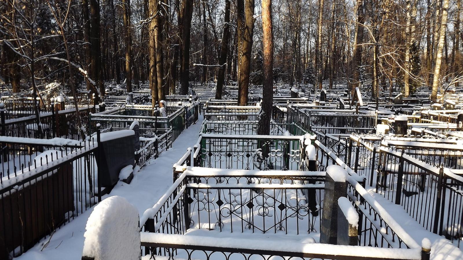 В Вологде расширяют Козицинское кладбище и будут строить новое