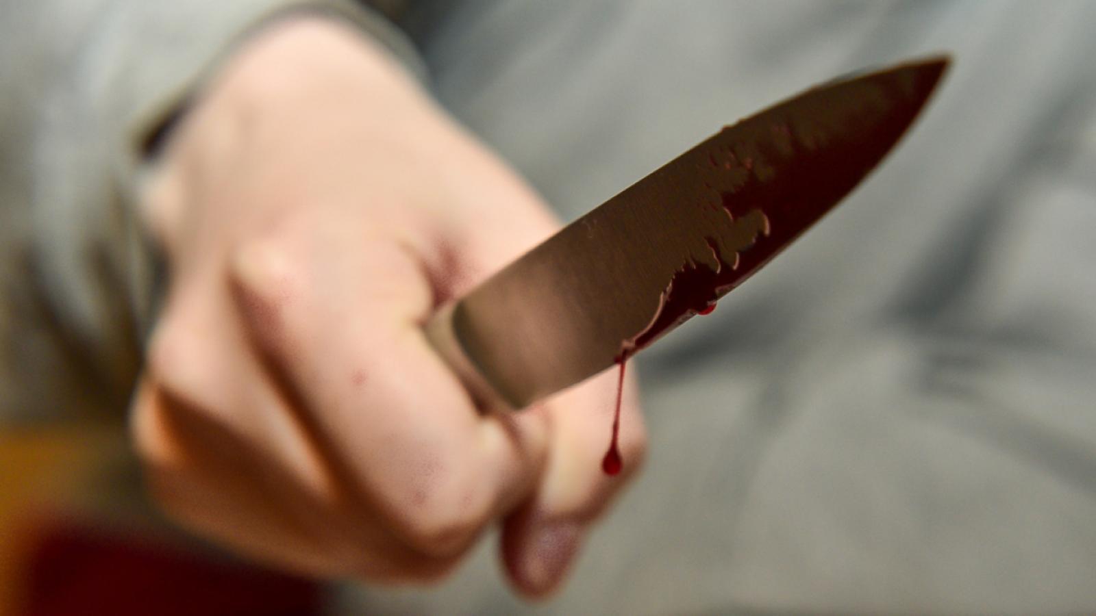 Жестокое убийство: вологжанин 50 раз ударил ножом свою жертву