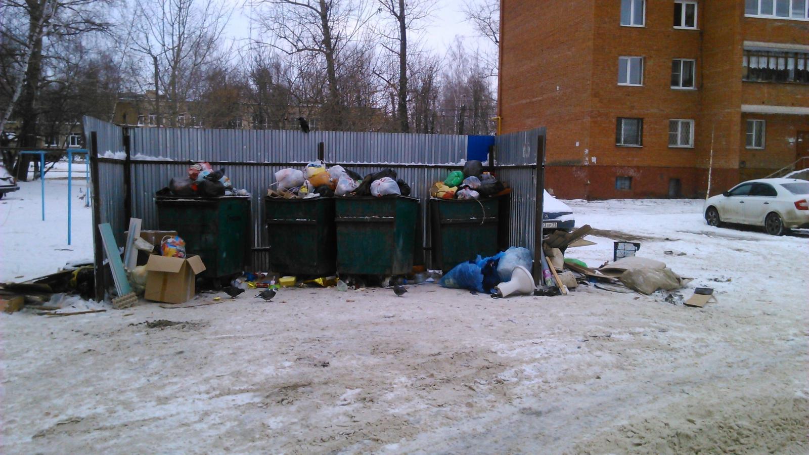 В Вологде решили, кто должен убирать мусор, лежащий вне контейнеров