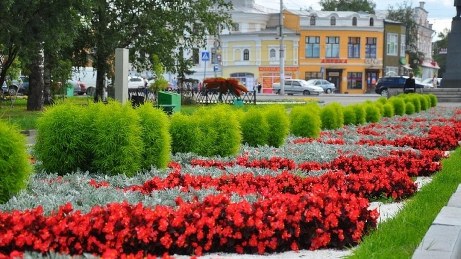 В этом году улицы Вологды украсят более 200 тысяч цветов